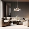 Designerska lampa wisząca złota LED CCT dekoracyjna owalna geometryczna Spider LP-1225/1P 58 GD Light Prestige
